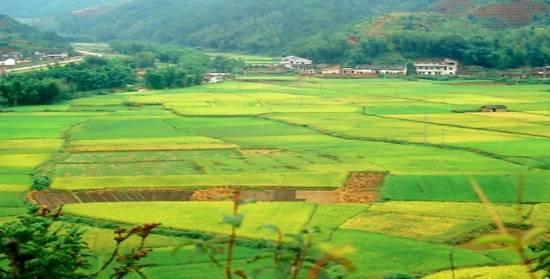 裬@ͶYr(nng)I(y)ܕ(hu)׌Ѫ̝