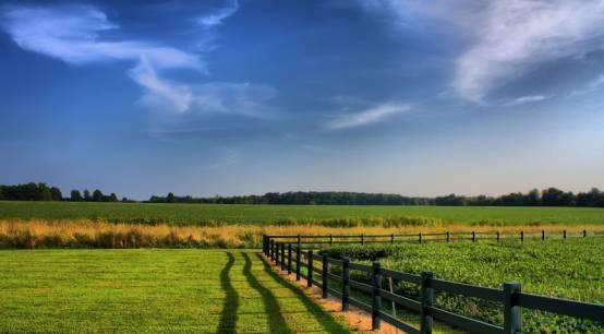 @ͶYr(nng)I(y)ܕ(hu)׌Ѫ̝